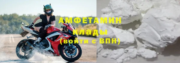гидра Гусев