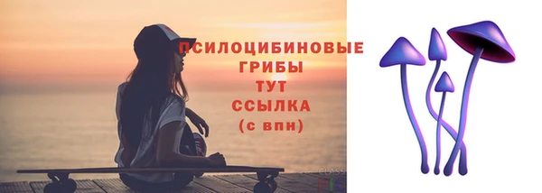 apvp Гусь-Хрустальный