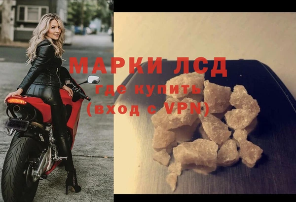 гидра Гусев