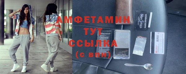 гидра Гусев