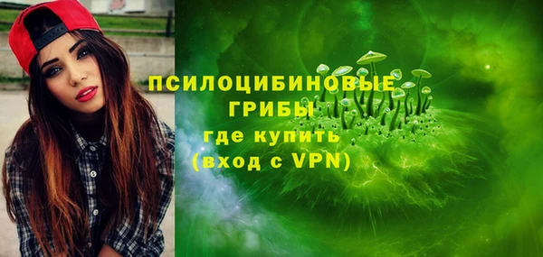 apvp Гусь-Хрустальный