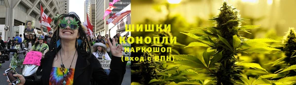 apvp Гусь-Хрустальный