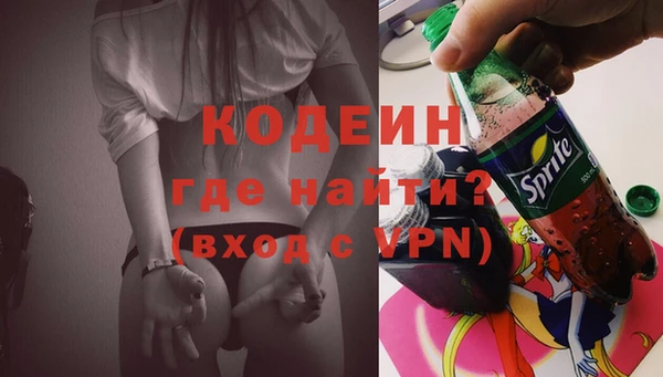гидра Гусев