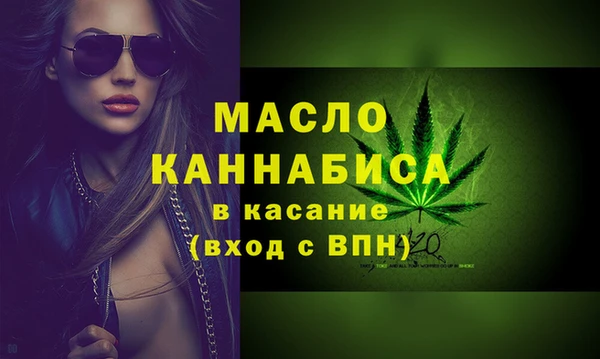 гидра Гусев