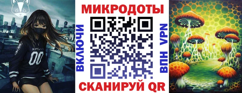 это какой сайт  Облучье  Псилоцибиновые грибы Magic Shrooms 
